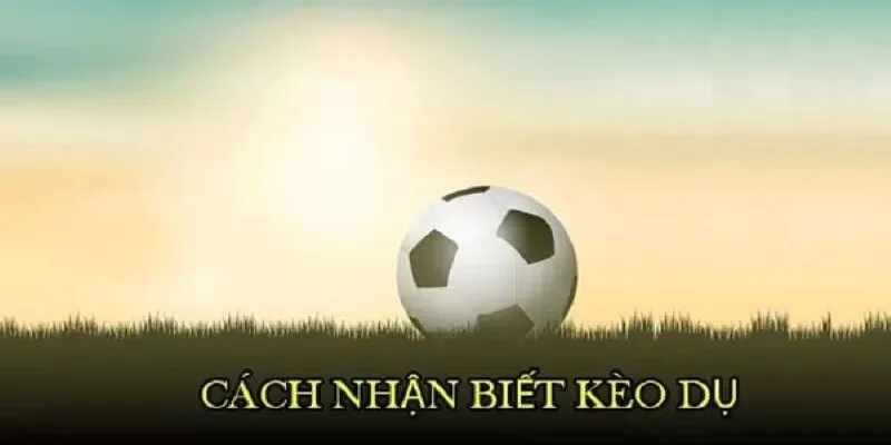 Các cách nhận biết kèo dụ là gì cực kỳ dễ nhận ra